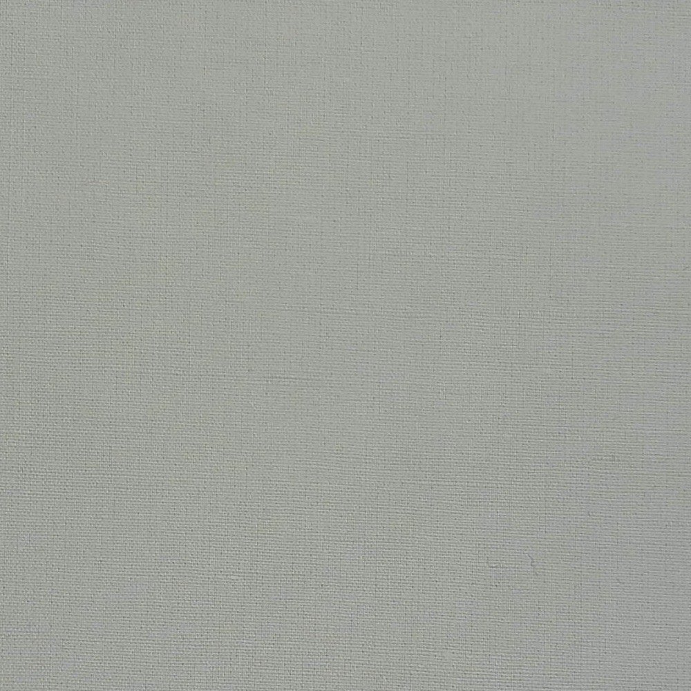 A-Y3009