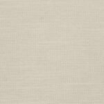 Color 8
